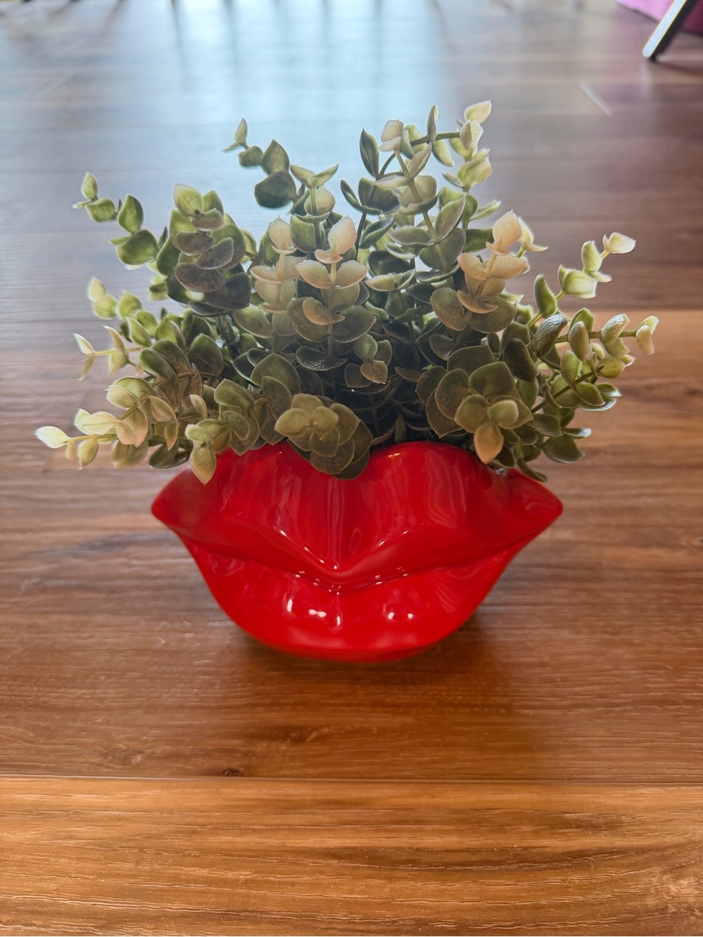 Red Gloss Ceramic Lip Planter - Decorative Home Accent
